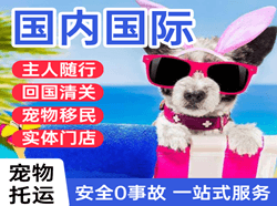 奇台江布拉克航空快递国际宠物托运 【国